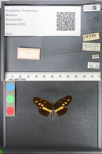 Media type: image;   Entomology 101023
